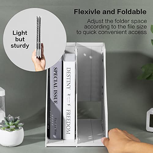 Deli Collapsible Magazine File Holder, Desk Organizer Document Folder for Office Organization and Storage, 2 Vertical Compartments, Gray