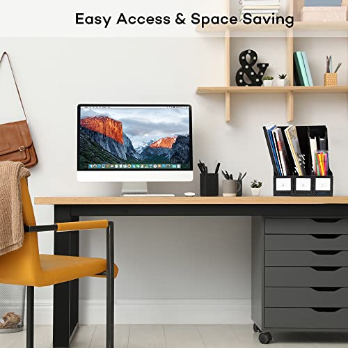 deli Magazine File Holder, Desk Organizer File Folder for Office Organization and Storage, Sturdy Plastic Binder Organizer, 3 Vertical Compartments, Black